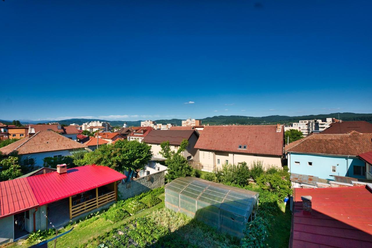 Vila Victoria Râmnicu Vâlcea Exterior foto