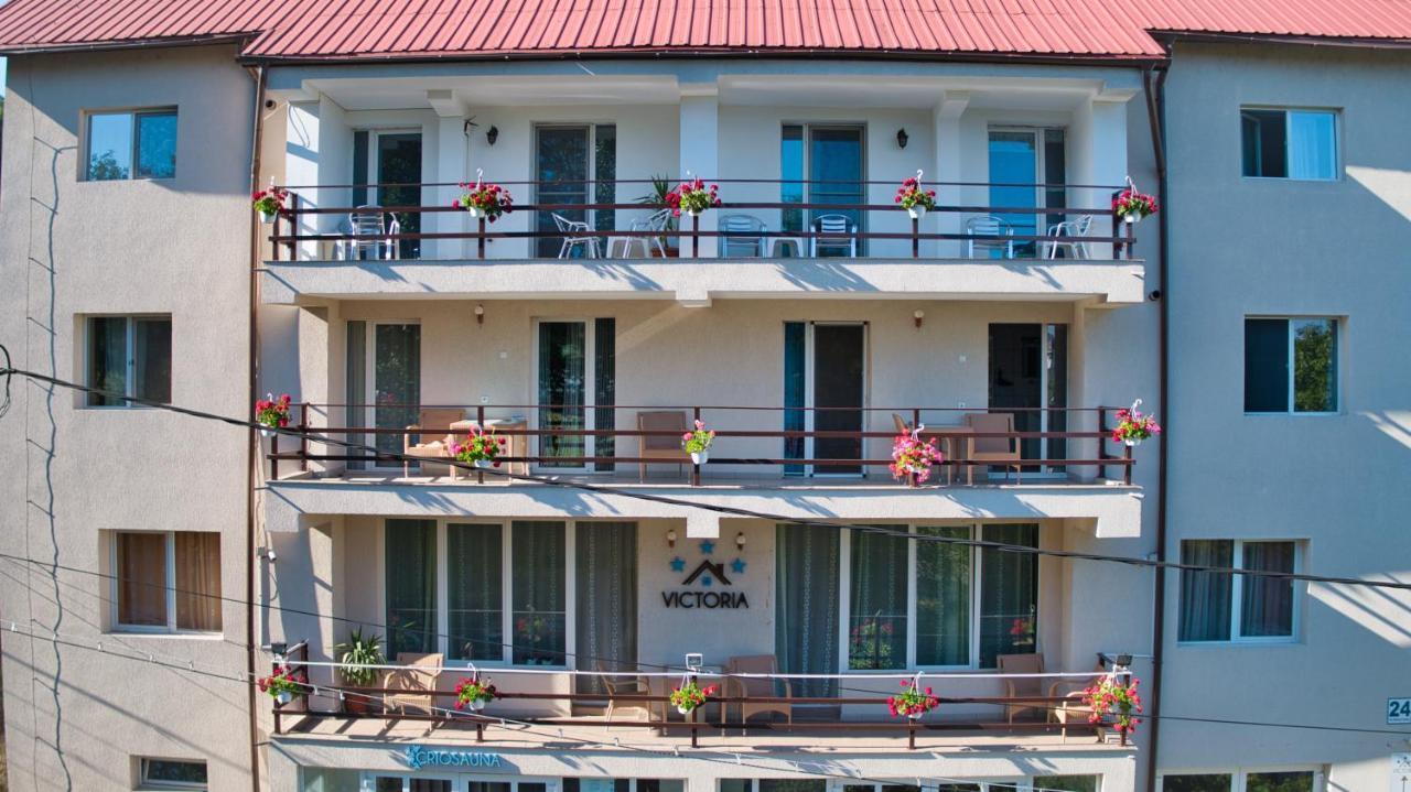 Vila Victoria Râmnicu Vâlcea Exterior foto