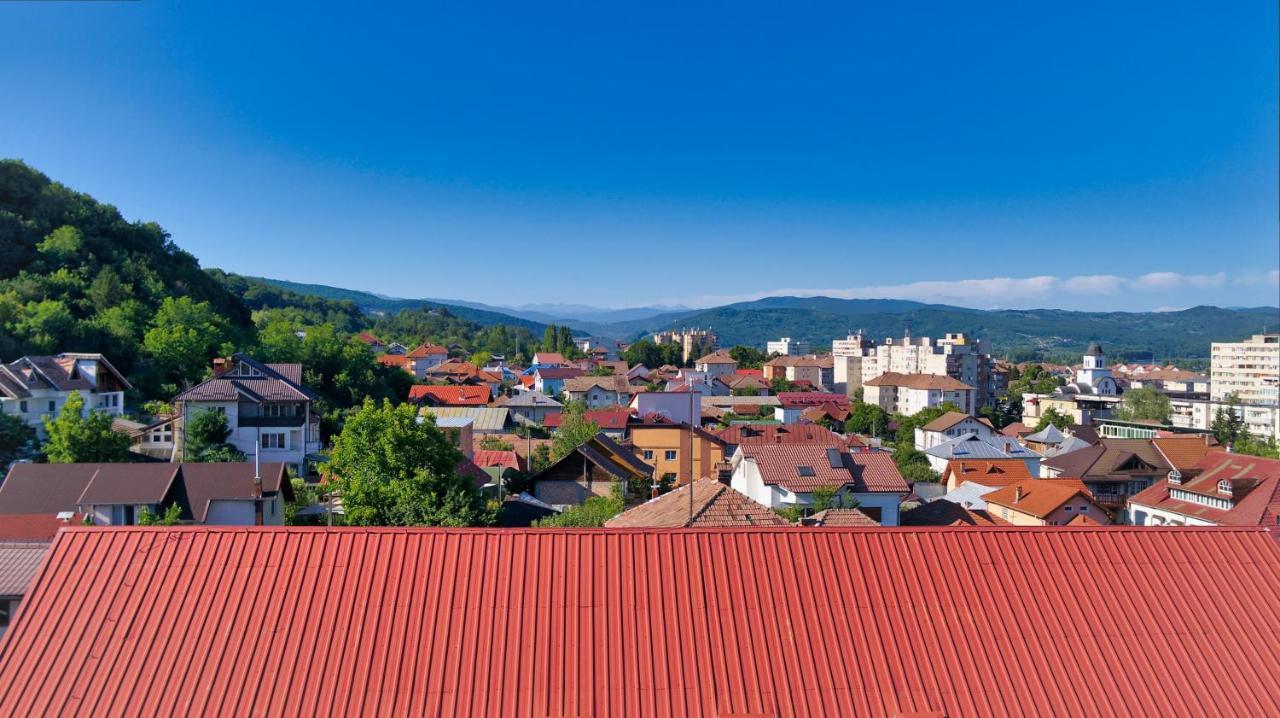 Vila Victoria Râmnicu Vâlcea Exterior foto