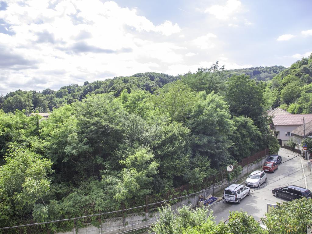 Vila Victoria Râmnicu Vâlcea Exterior foto