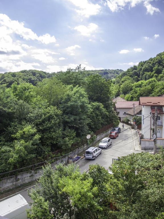 Vila Victoria Râmnicu Vâlcea Exterior foto
